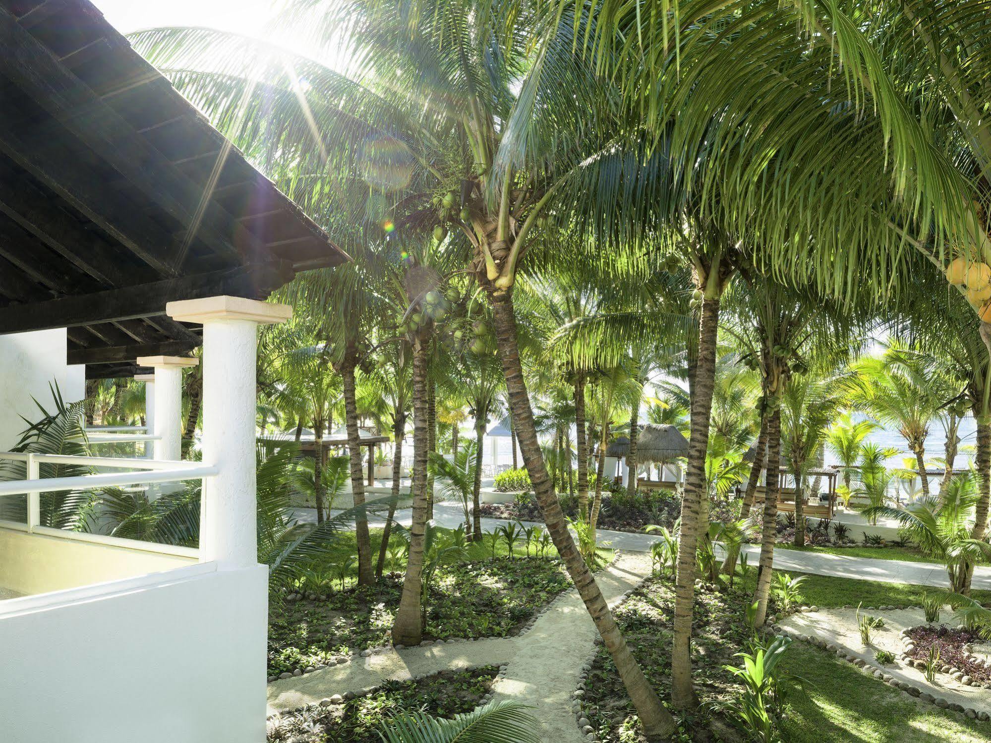 El Dorado Seaside Palms Adults Only Ξενοδοχείο Xetna Εξωτερικό φωτογραφία